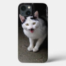 Recherche de chat noir et blanc iphone 7 coques Mignon