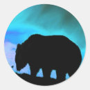 Recherche de ours noir autocollants Sauvage