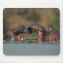 Recherche de gallos tapis souris Horizontal