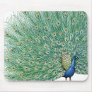 Recherche de joli oiseau tapis souris Jolie