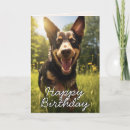 Recherche de kelpie vœux cartes Chien