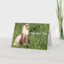 Recherche de furet vœux cartes Mignon