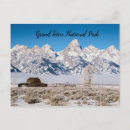 Recherche de grand teton cartes postales Vacances