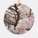 Recherche de cerise ornements Sakura