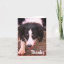 Recherche de élevage vœux cartes Animal