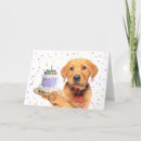 Recherche de chiot toutes vœux cartes Mignon