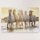 Recherche de le cheval puzzles Animal