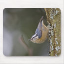 Recherche de habitat tapis souris Environnement