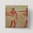 Recherche de viandes badges Volaille