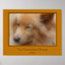 Recherche de visage de chien posters Pour elle