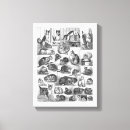 Recherche de toile de chat Illustration