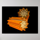 Recherche de protéine posters Détail