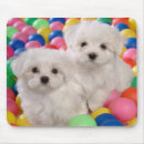 Recherche de biche tapis souris Chien