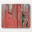 Recherche de trou tapis souris Oeil
