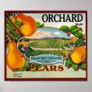 Recherche de pear posters Vintage