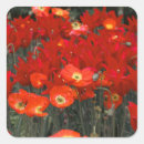 Recherche de rouge cramoisi autocollants Fleurs