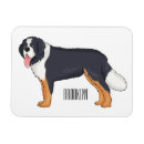 Recherche de montagne magnets Suisse
