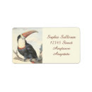 Recherche de peinture toucan Mignon