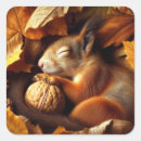 Recherche de écureuil autocollants Feuille