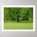 Recherche de oscillation posters Arbre
