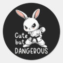 Recherche de ninja mignon autocollants Karaté