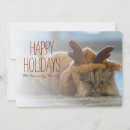 Recherche de costume de noël cartes postales Photographie