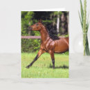 Recherche de fonctionnement vœux cartes Équestre