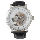 Recherche de la photo du chien montres Animal de compagnie