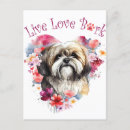 Recherche de lhasa cartes postales Mignon