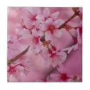 Recherche de fleurs de cerisier carreaux Sakura