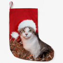 Recherche de le tigre chaussette de noël Mignon