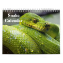 Recherche de serpent bureau fournitures Reptile
