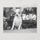 Recherche de hello cartes postales Dog