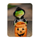 Recherche de gecko magnete Drôle