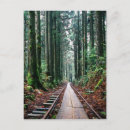 Recherche de traces cartes postales Nature