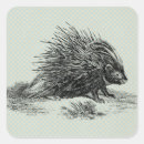 Recherche de dessin animal vintage autocollants Animaux