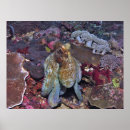 Recherche de octopus posters Sous marin