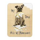 Recherche de élevage magnets Chiot