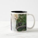 Recherche de panthera tasses Animal