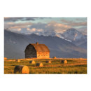 Recherche de pablo posters Agriculture