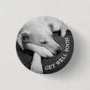Recherche de chien noir et blanc badges Photographie