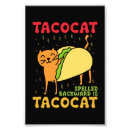 Recherche de chat mexicain posters Tacos