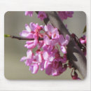 Recherche de oriental tapis souris Arbre