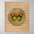 Recherche de éphémères posters Nature