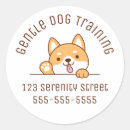 Recherche de oeil animal autocollants Chien