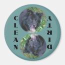 Recherche de chien de border collie magnets Mignon