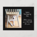 Recherche de thanksgiving drôle cartes postales Adorable