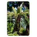 Recherche de hawaii honolulu magnets Île