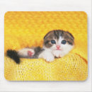 Recherche de pli tapis souris Animal