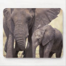 Recherche de habitat tapis souris Famille